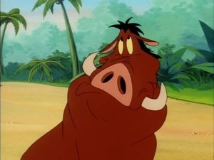 Timon i Pumba Bajanie na spanie