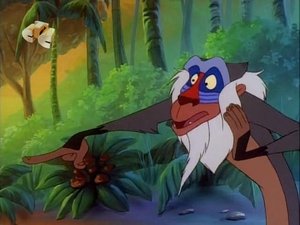 Timon i Pumba Nie tak znowu błogo w Togo