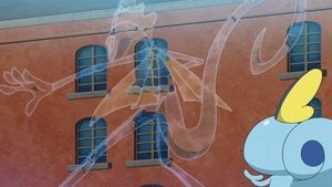 Pokémon Światła, kamera, reakcja!