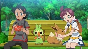 Pokémon Misja - sprawunki!