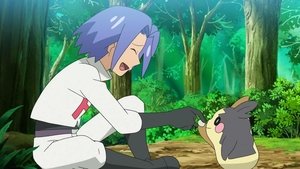 Pokémon Pozbawcie nas złodzieja! Prosimy!