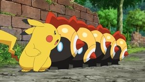 Pokémon Wszyscy za kapitanem!