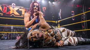 WWE NXT Odcinek 40