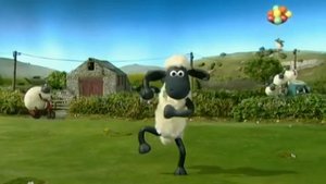 Baranek Shaun Odcinek 5