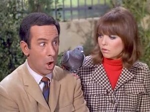 Get Smart Odcinek 22