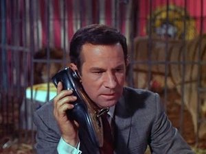 Get Smart Odcinek 10