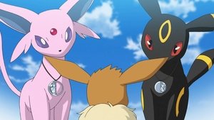 Pokémon Dzień i noc, to właśnie wy!
