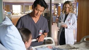 The Good Doctor Tort
