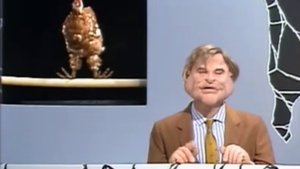 Les Guignols de l'info Odcinek 22