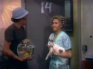 El Chavo del Ocho Odcinek 15