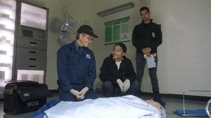 Agenci NCIS Odcinek 14
