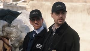 Agenci NCIS Odcinek 12