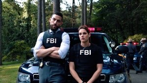 FBI Odcinek 5
