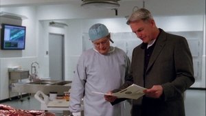 Agenci NCIS Nokaut