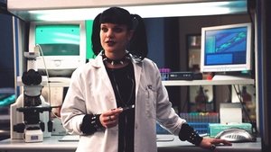 Agenci NCIS Tam jest prawda