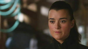 Agenci NCIS Starzy kumple