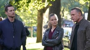 Chicago P.D. Odcinek 8