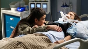 The Good Doctor Jedno serce
