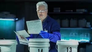 CSI: Vegas Zatkane rury