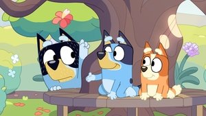 Blue Urodzony wczoraj