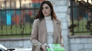 A Woman Scorned Odcinek 14