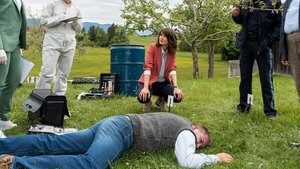 Die Rosenheim-Cops Odcinek 15