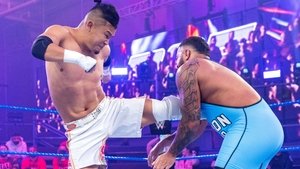 WWE 205 Live Odcinek 5