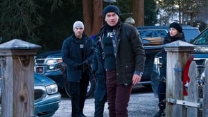 FBI: Most Wanted Odcinek 13