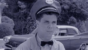 Leave It to Beaver Odcinek 35