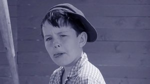Leave It to Beaver Odcinek 37