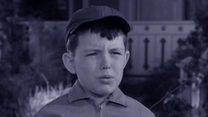 Leave It to Beaver Odcinek 23