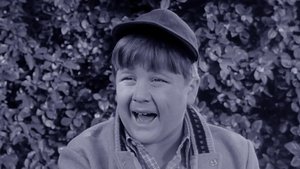 Leave It to Beaver Odcinek 24