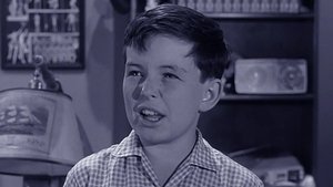 Leave It to Beaver Odcinek 37