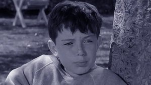 Leave It to Beaver Odcinek 39