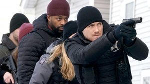 Chicago P.D. Odcinek 15