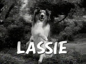 Lassie Odcinek 21