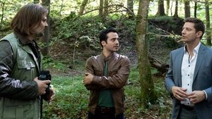 Die Rosenheim-Cops Odcinek 27