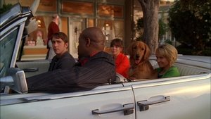 Pushing Daisies Odcinek 6