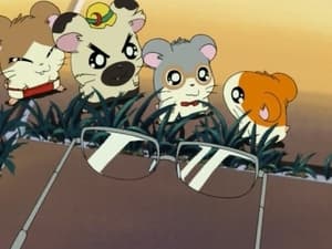 Hamtaro Odcinek 29