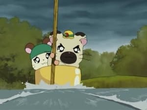 Hamtaro Odcinek 21