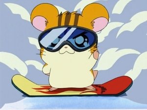 Hamtaro Odcinek 27