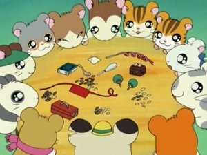 Hamtaro Odcinek 17