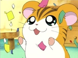 Hamtaro Odcinek 9