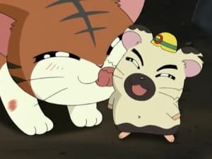 Hamtaro Odcinek 31