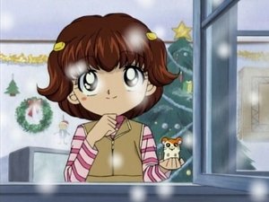 Hamtaro Odcinek 25