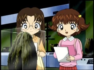 Hamtaro Odcinek 41