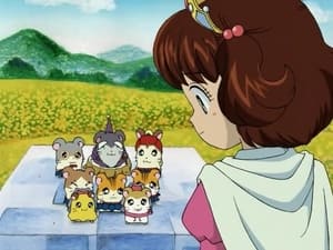 Hamtaro Odcinek 26