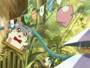 Hamtaro Odcinek 19