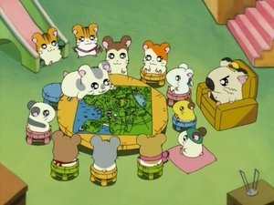 Hamtaro Odcinek 28