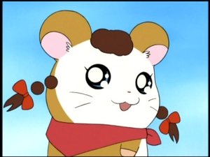 Hamtaro Odcinek 37